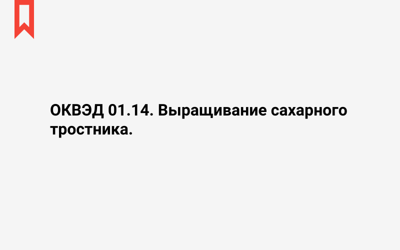 Изображение: Выращивание сахарного тростника