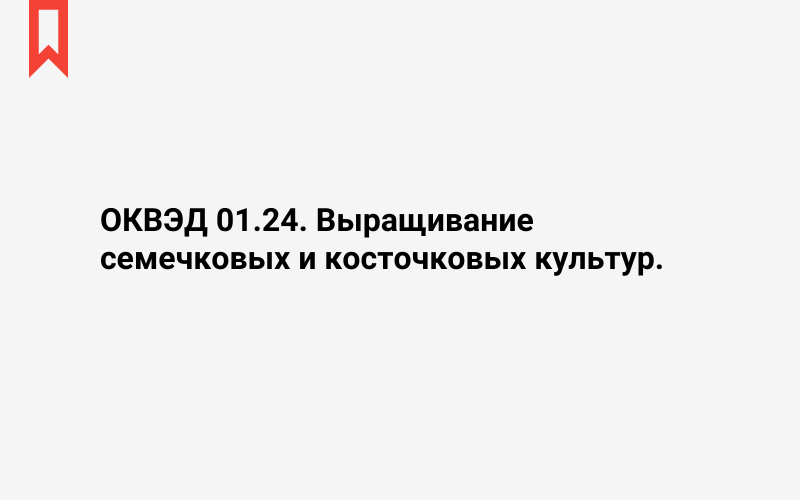 Изображение: Выращивание семечковых и косточковых культур