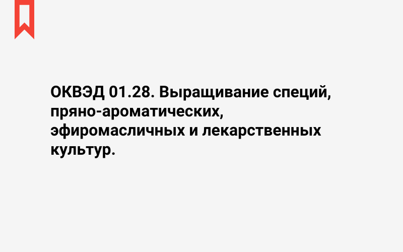 Изображение: Выращивание специй, пряно-ароматических, эфиромасличных и лекарственных культур