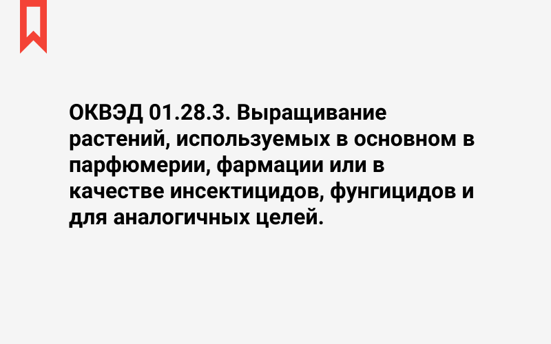 Изображение: Выращивание растений, используемых в основном в парфюмерии, фармации или в качестве инсектицидов, фунгицидов и для аналогичных целей