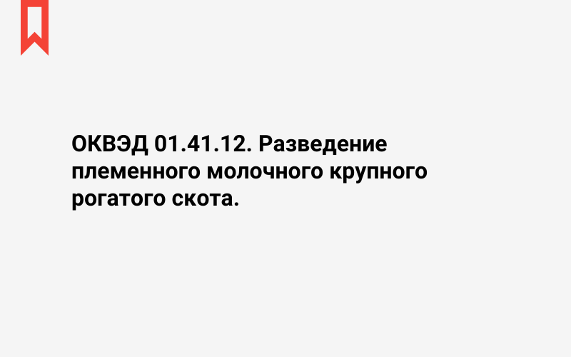 Изображение: Разведение племенного молочного крупного рогатого скота