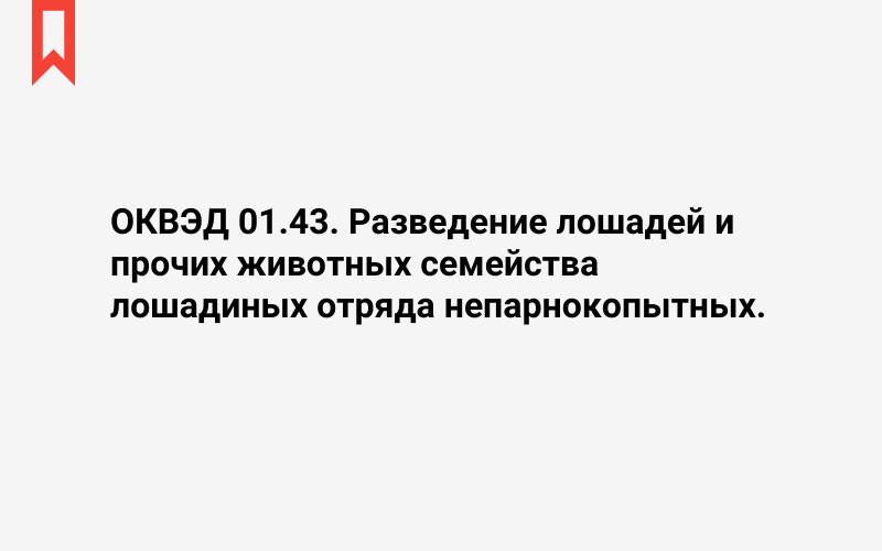 Изображение: Разведение лошадей и прочих животных семейства лошадиных отряда непарнокопытных