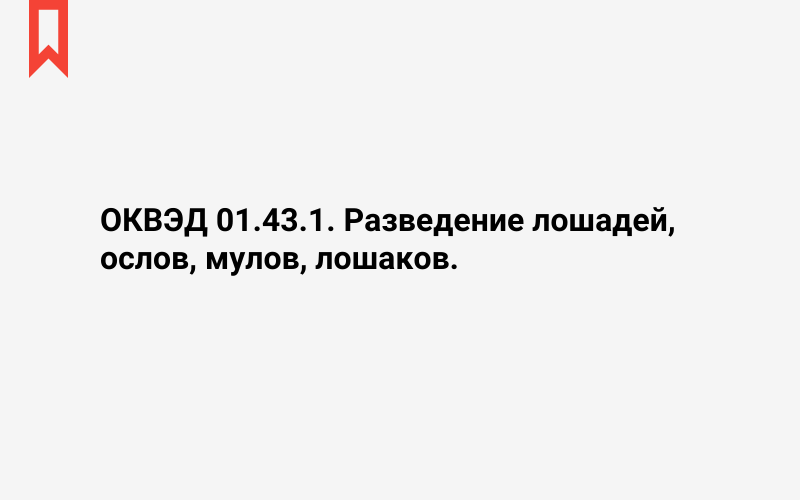 Изображение: Разведение лошадей, ослов, мулов, лошаков