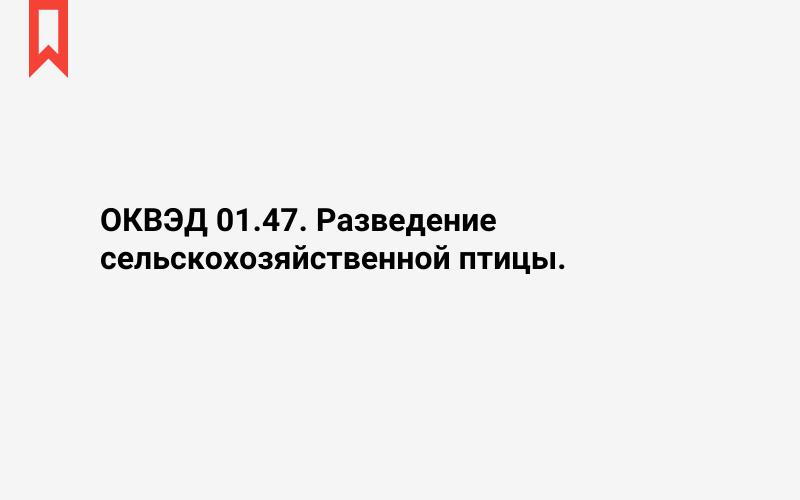 Изображение: Разведение сельскохозяйственной птицы