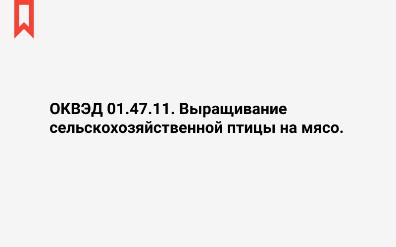 Изображение: Выращивание сельскохозяйственной птицы на мясо