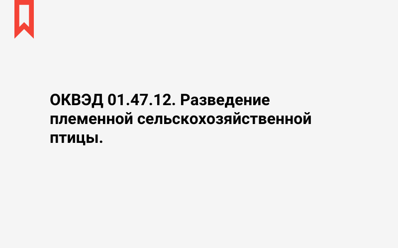 Изображение: Разведение племенной сельскохозяйственной птицы