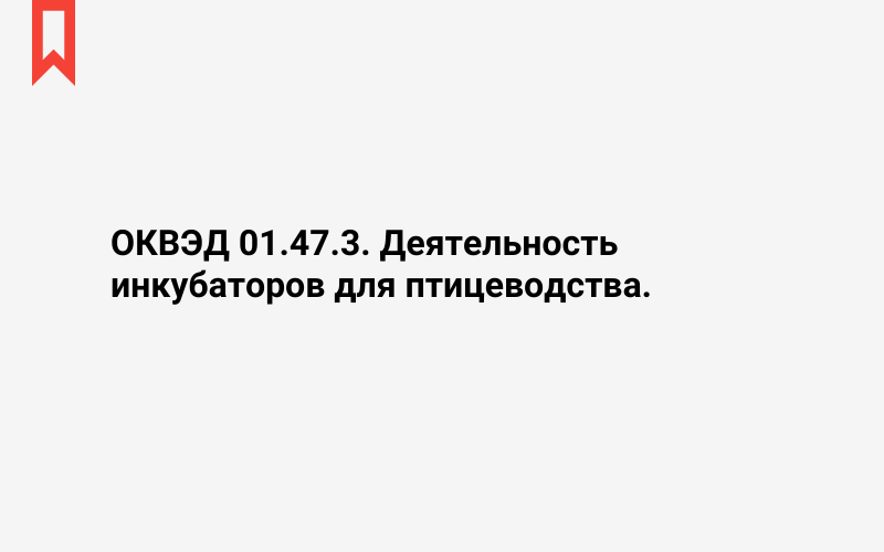 Изображение: Деятельность инкубаторов для птицеводства