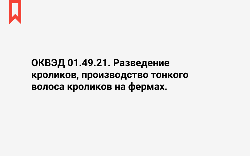 Изображение: Разведение кроликов, производство тонкого волоса кроликов на фермах