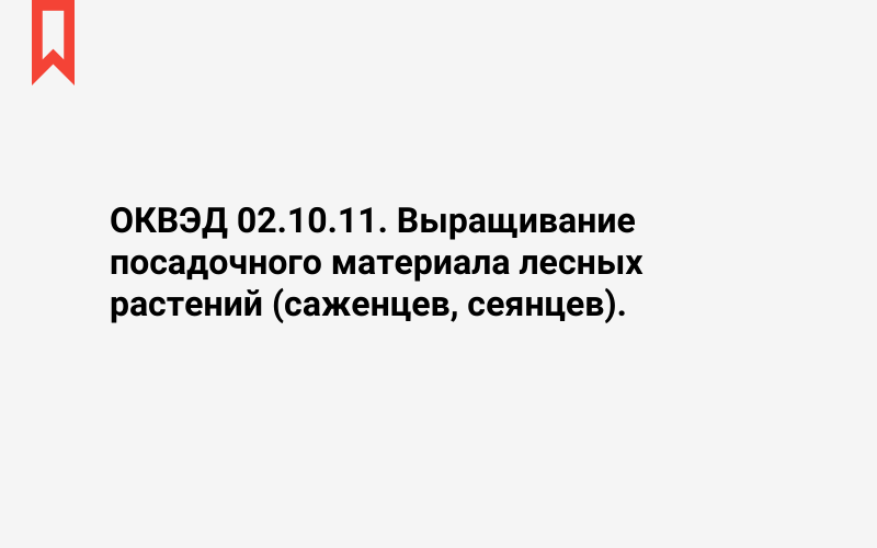 Изображение: Выращивание посадочного материала лесных растений (саженцев, сеянцев)