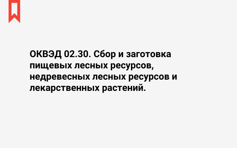 Изображение: Сбор и заготовка пищевых лесных ресурсов, недревесных лесных ресурсов и лекарственных растений