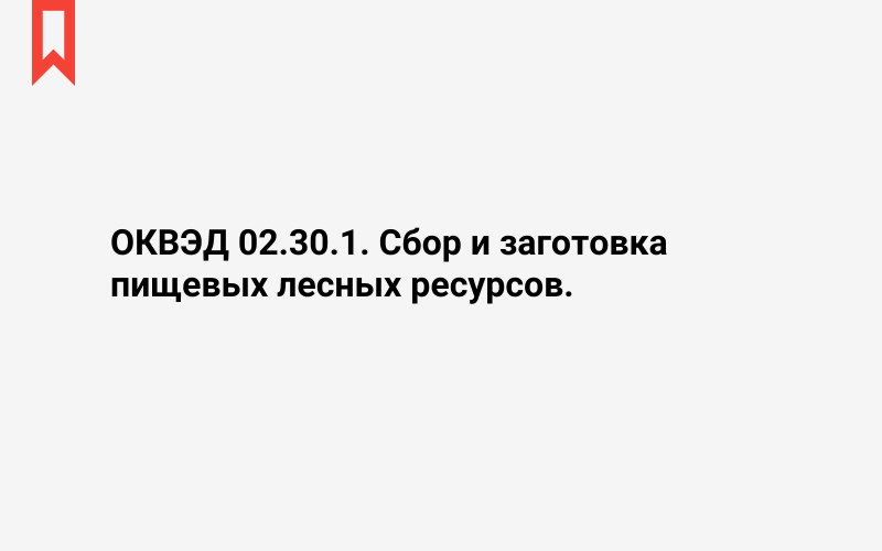 Изображение: Сбор и заготовка пищевых лесных ресурсов