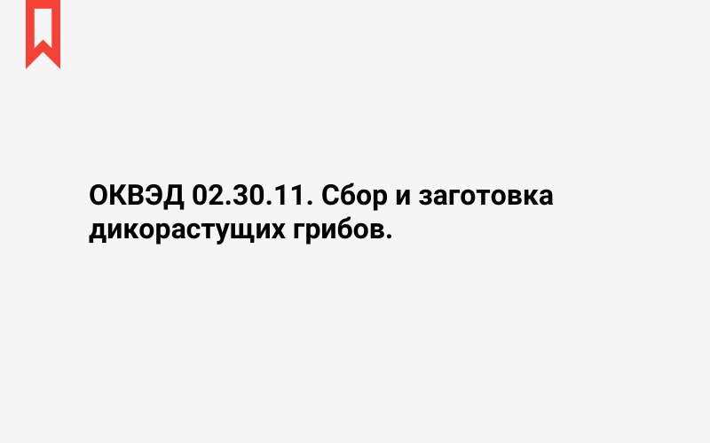 Изображение: Сбор и заготовка дикорастущих грибов