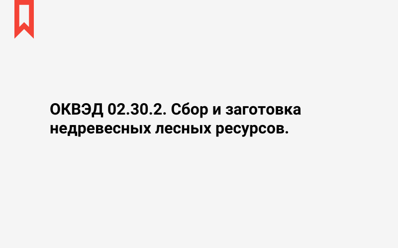 Изображение: Сбор и заготовка недревесных лесных ресурсов