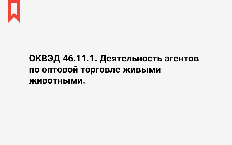 Изображение: Деятельность агентов по оптовой торговле живыми животными