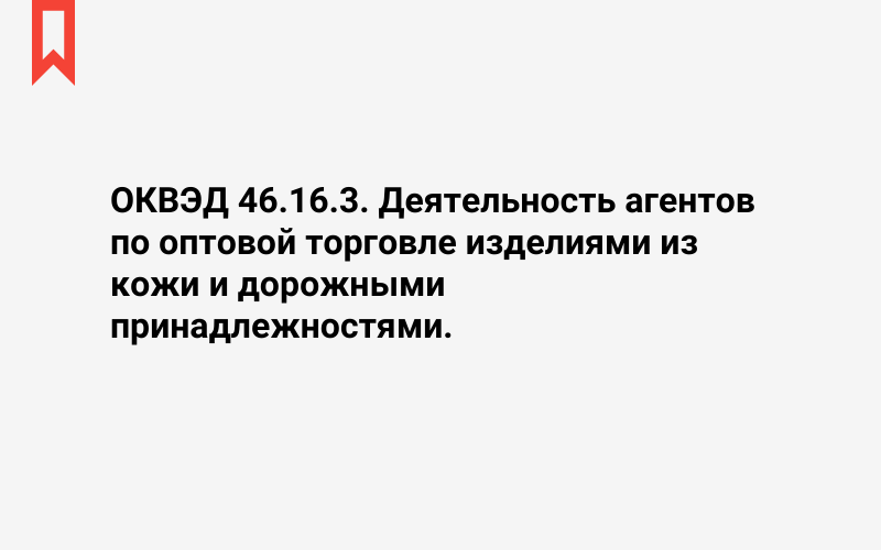 Изображение: Деятельность агентов по оптовой торговле изделиями из кожи и дорожными принадлежностями